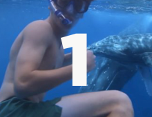 Video Update No. 1
